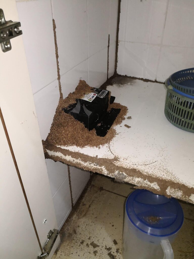 Bio Termites Control Johor Bahru