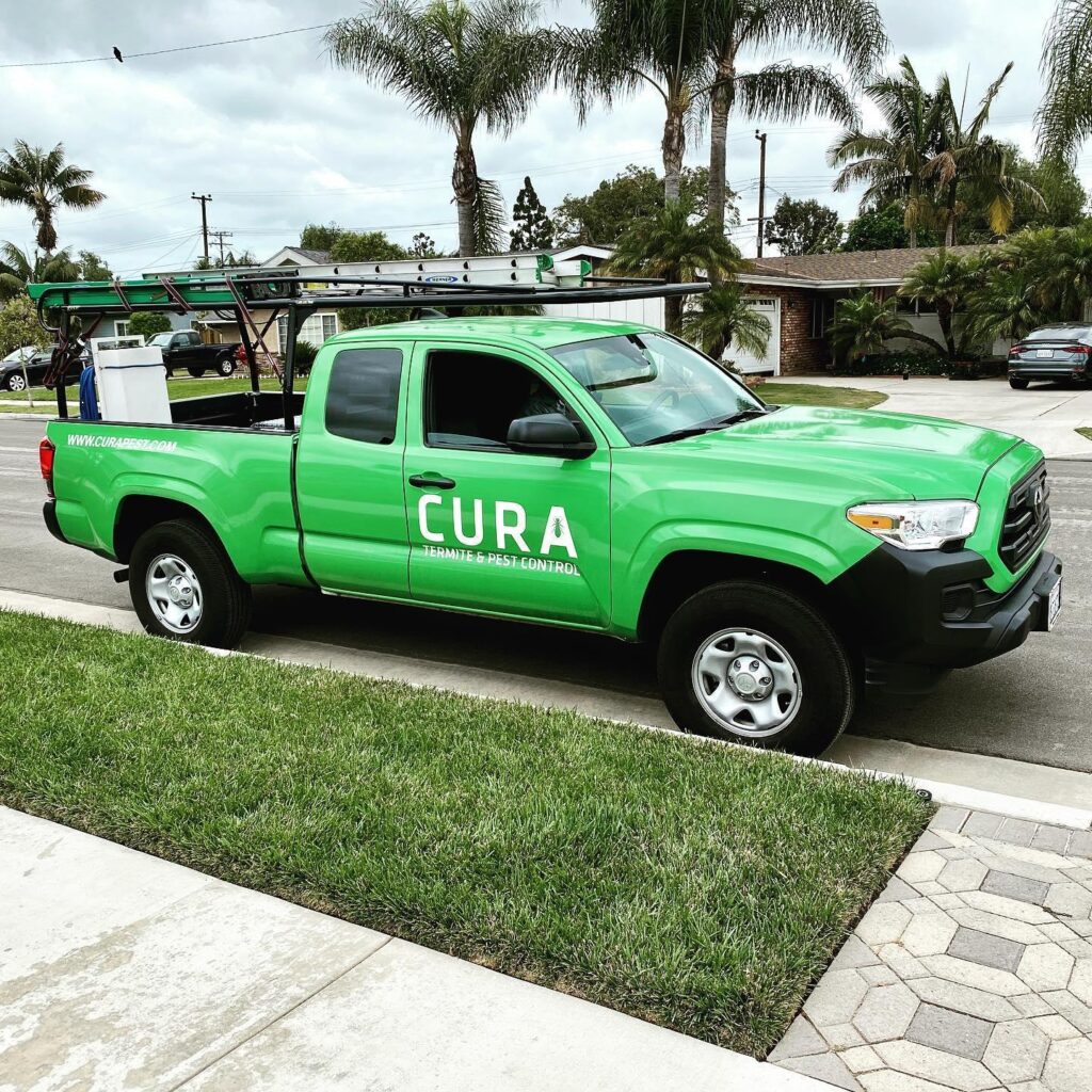 Curreza Pest Control