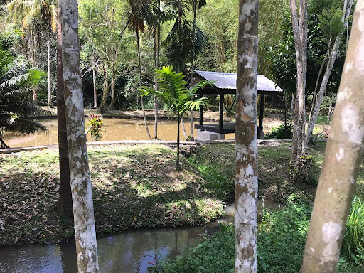 Kawalan Perosak Terbaik Berdekatan Saya di Bentong Town