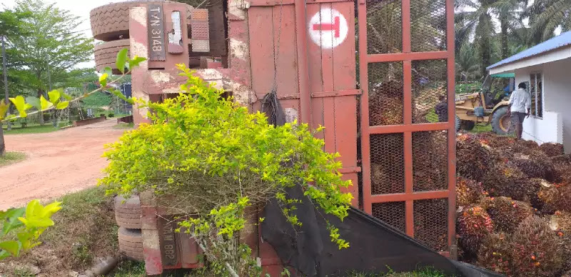 Kawalan Perosak Terbaik Berdekatan Saya di Kampung Simpang Renggam