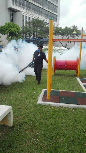 Kawalan Perosak Terbaik Berdekatan Saya di Kepala Batas