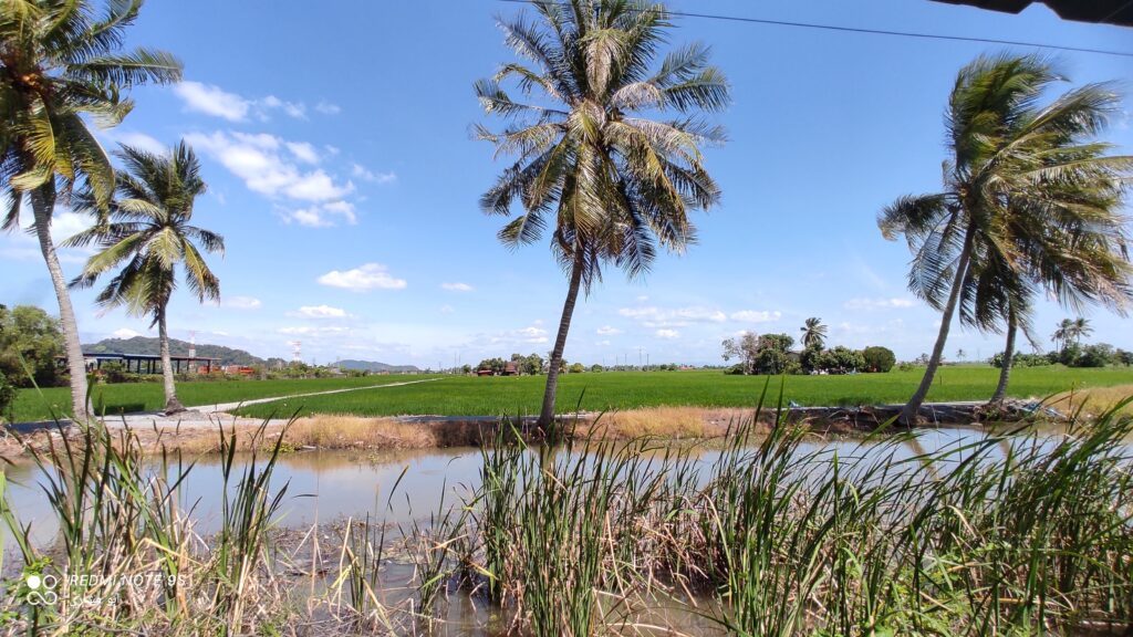 Kawalan Perosak Terbaik Berdekatan Saya di Kuala Perlis