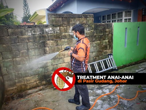 Kawalan Perosak Terbaik Berdekatan Saya di Seremban