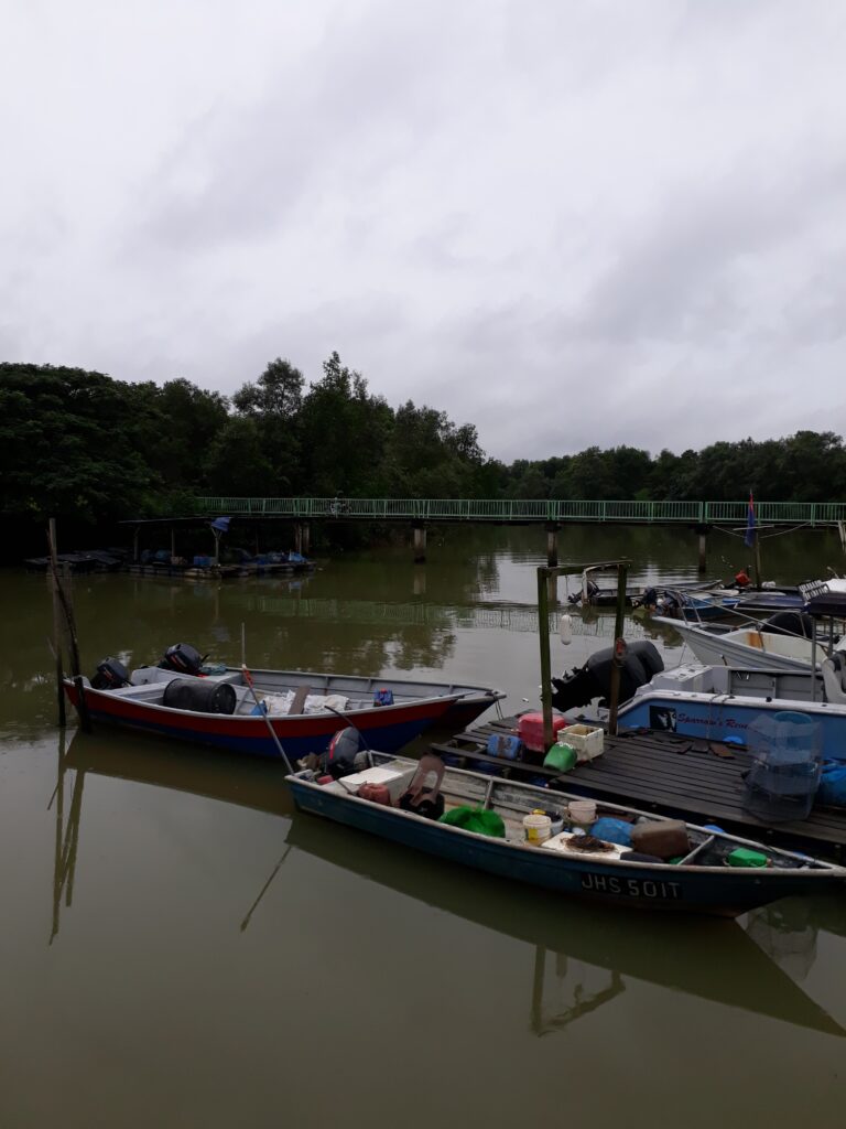 Kawalan Perosak Terbaik Berdekatan Saya en Kampung Pasir Gudang Baru