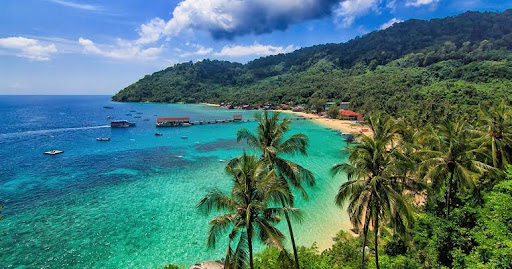 Kawalan Perosak Terbaik Berdekatan Saya en Kampung Tekek