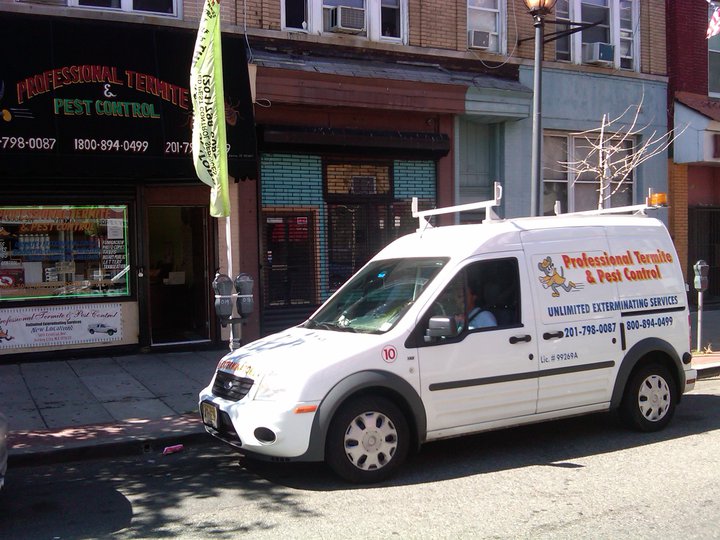 Professional Termites Service | Woodpecker Technology