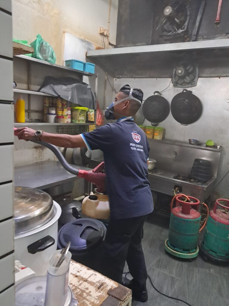SeranggaX Pest Control – Termite & General Pest Control