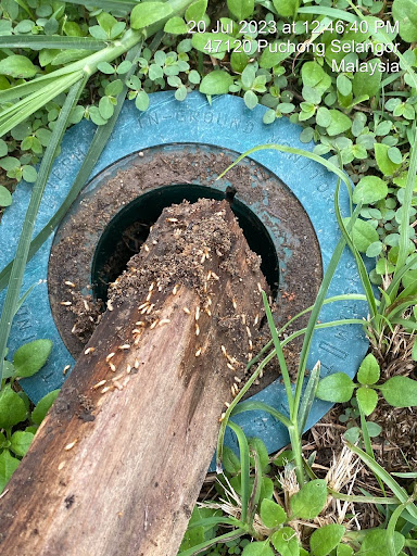 Unity Termite & Pest Control Service
